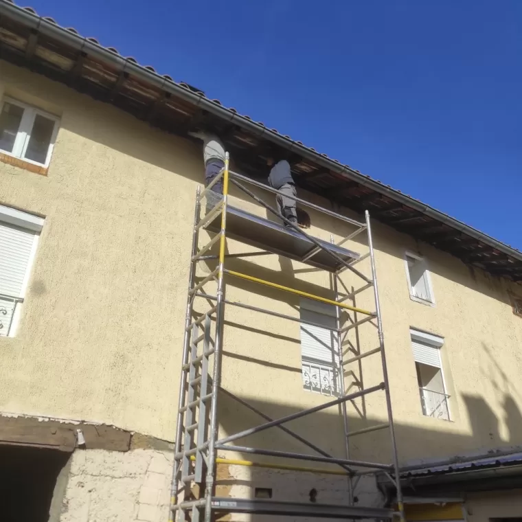 Dépigeonnage à Quincié en Beaujolais