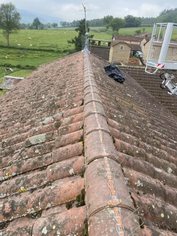 Dépigeonnage à Sainte Cécile, Belleville-en-Beaujolais, JPM 3D