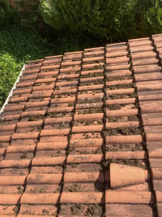 Démoussage d'une toiture à Reyrieux, Belleville-en-Beaujolais, JPM 3D