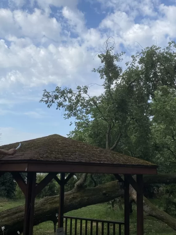 Démoussage de toiture Montmerle S/S