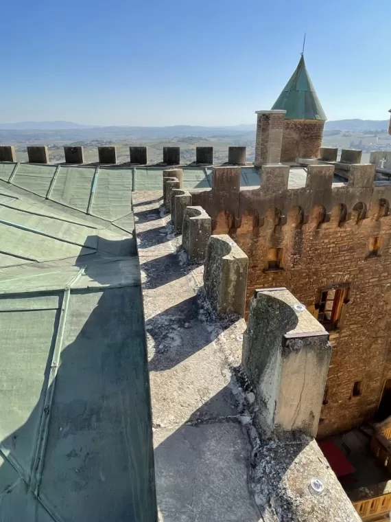 Dépigeonnage pour le Château de Montmelas Saint Sorlin, Belleville-en-Beaujolais, JPM 3D