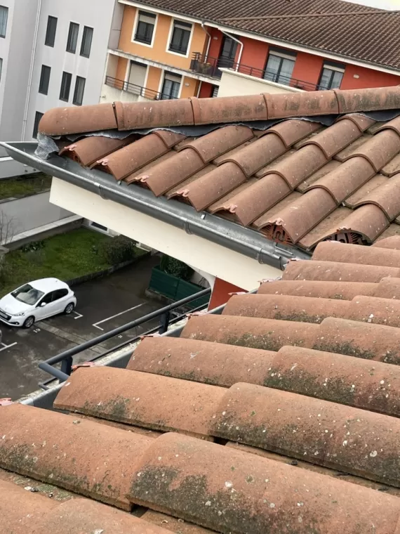 Dépigeonnage copropriété à Villefranche-Sur-Saône
