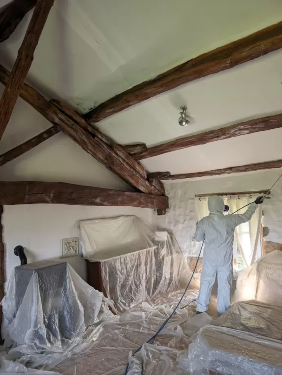 Traitement insecticide des bois contre les insectes xylophages à Mâcon