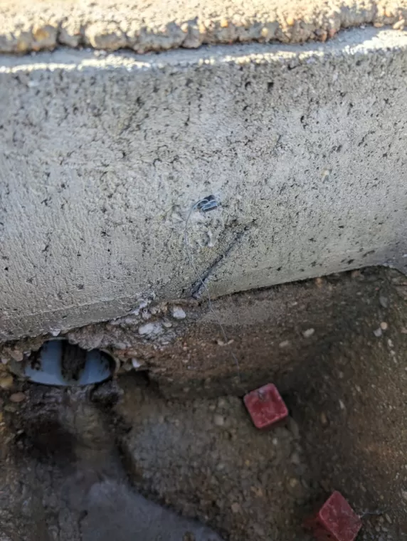 Dératisation contre les rats à Mâcon