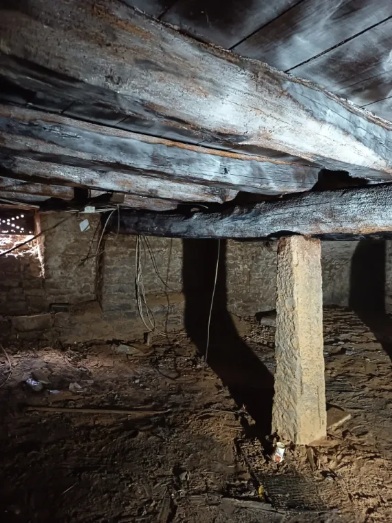 Traitement de bois cave Mâcon