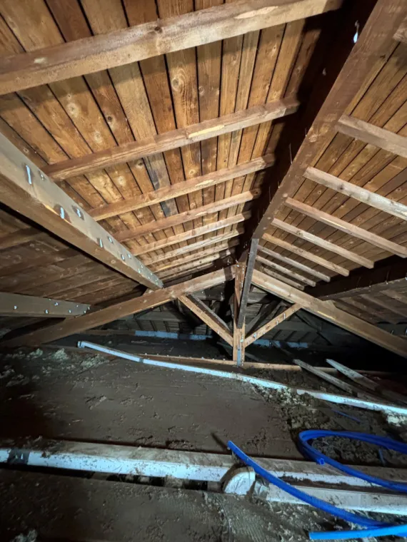 Traitement de bois et charpente Ecully