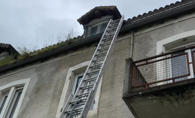 Dépigeonnage à Sainte Cécile, Belleville-en-Beaujolais, JPM 3D