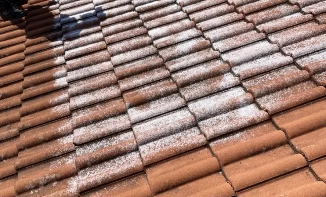 Démoussage d'une toiture à Reyrieux, Belleville-en-Beaujolais, JPM 3D