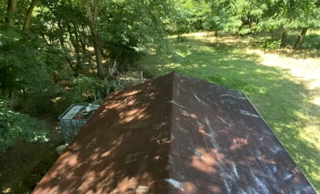 Démoussage de toiture Montmerle S/S