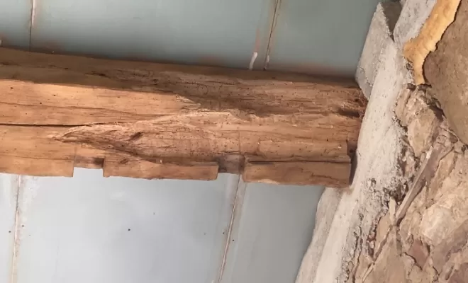 traitement de bois bey