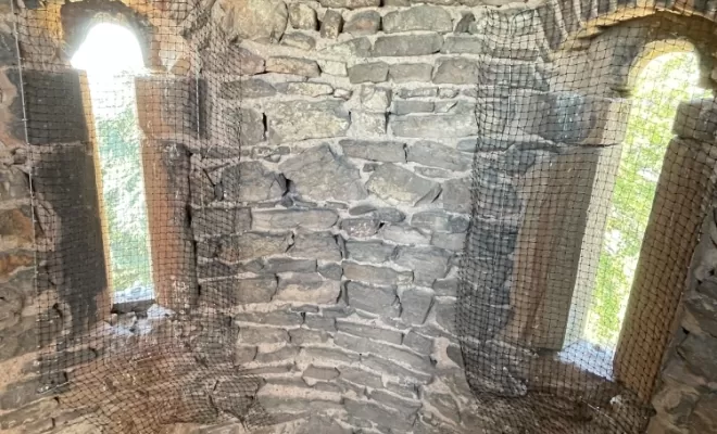 Dépigeonnage Château de Montmelas