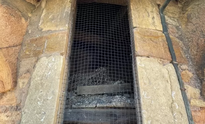 Dépigeonnage Château de Montmelas