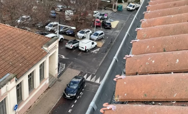 Dépigeonnage copropriété à Villefranche-Sur-Saône