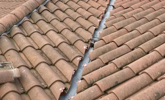 Dépigeonnage copropriété à Villefranche-Sur-Saône