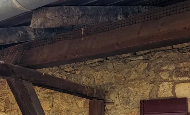 Dépigeonnage pour un particulier à Villefranche Sur Saône