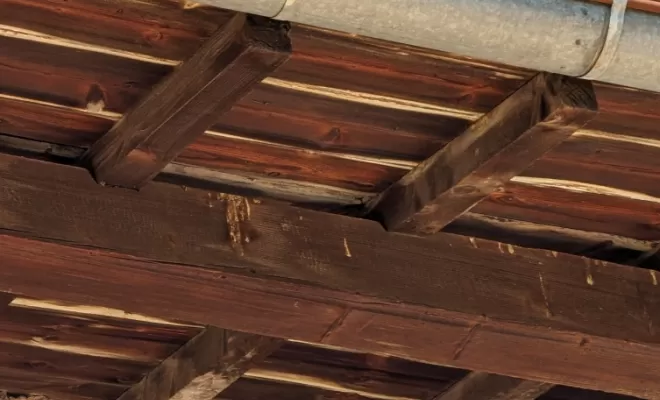 Dépigeonnage pour un particulier à Villefranche Sur Saône