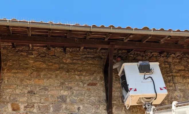 Dépigeonnage pour un particulier à Villefranche Sur Saône