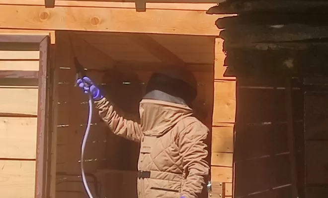 Désinsectisation et destruction de guêpes, frelons asiatiques et européens à Belleville en Beaujolais