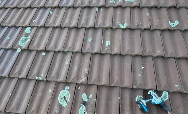 Traitement de bois et charpente contre les insectes xylophages à Ecully, Belleville-en-Beaujolais, JPM 3D