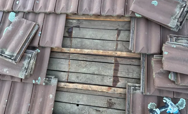 Traitement de bois et charpente contre les insectes xylophages à Ecully, Belleville-en-Beaujolais, JPM 3D