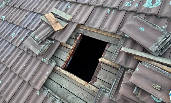 Traitement de bois et charpente contre les insectes xylophages à Ecully, Belleville-en-Beaujolais, JPM 3D